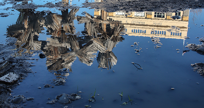 A stunning photo of artwork and architecture reflected in a puddle, perfected by using Photoshop patch tool