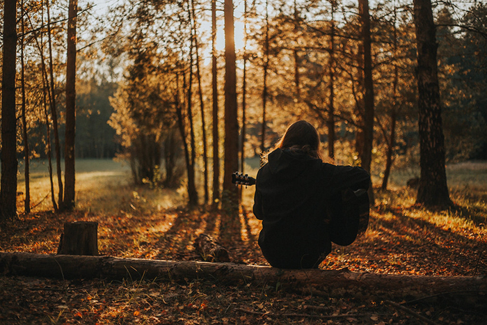 Beautiful autumn photography of a person sitting on a log in a forest sitting indoors 