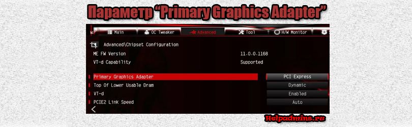 что такое Primary Graphics Adapter