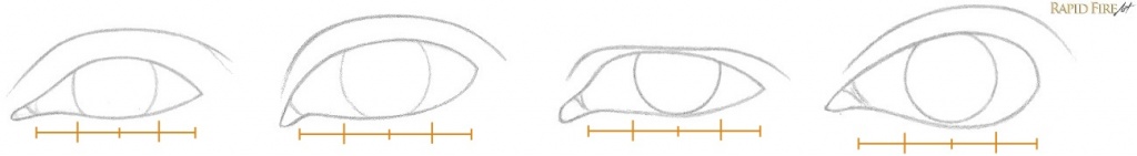 How to Draw Different Eye Shapes Iris Sizing Example RFA