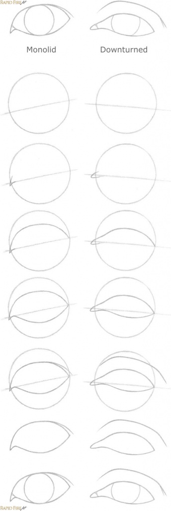 How to draw eye shapes Bonus RFA