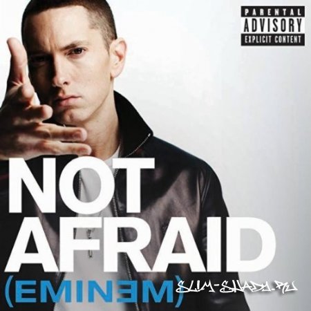 Eminem - Not Afraid (Promo CDS) (2010)