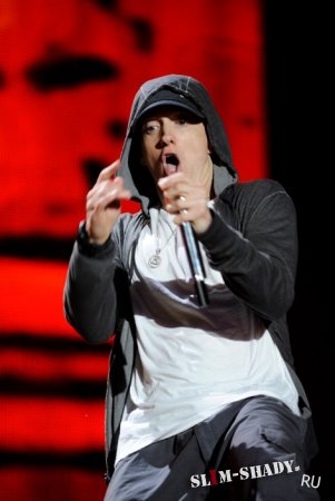  Eminem   Lollapalooza 7  2011.