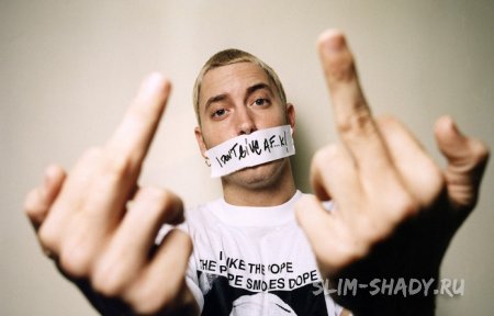 Robert Pattinson     Eminem,    .